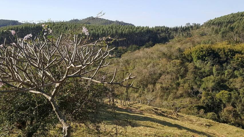 אמפארו Sitio Alvorada - Paraiso Localizado No Circuito Das Aguas Paulista מראה חיצוני תמונה